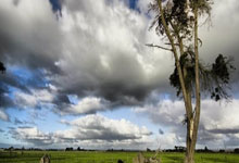 多特蒙德重振旗鼓，霍芬海姆涉险绝杀：德甲赛场上的激情与戏剧