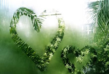 桑巴荣耀：巴西队进攻盛宴，点燃绿茵激情！