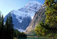 桑巴荣耀：巴西队进攻盛宴，点燃绿茵激情！